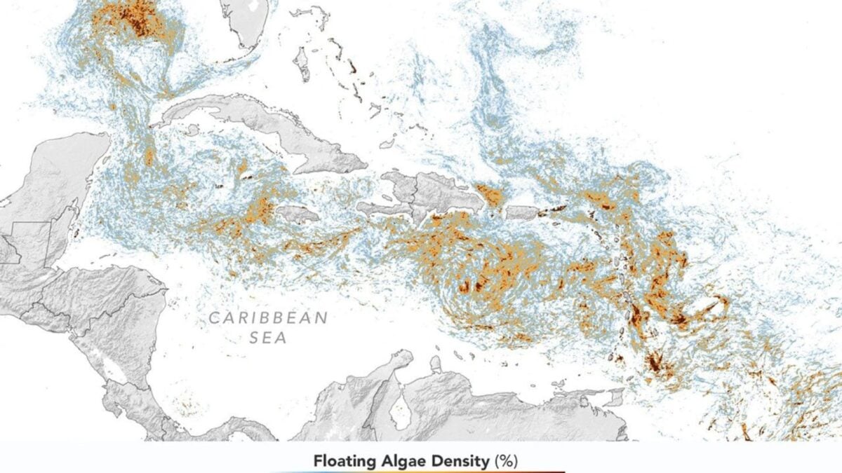 Mapa NASA odhaluje rekordní blob řas ničících dovolenou